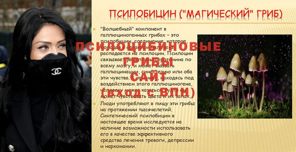 соль ск Алексеевка