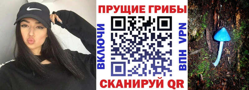 Псилоцибиновые грибы Psilocybine cubensis  как найти закладки  Себеж 
